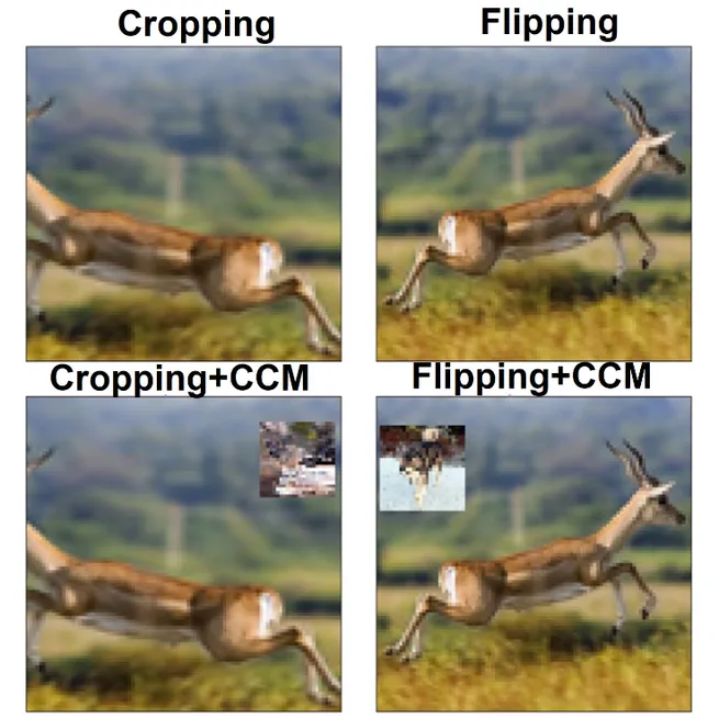 Data Augmentation Using Corner CutMix and an Auxiliary Self-Supervised Loss