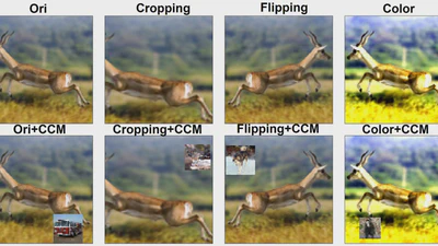 Data Augmentation Using Corner CutMix and an Auxiliary Self-Supervised Loss featured image